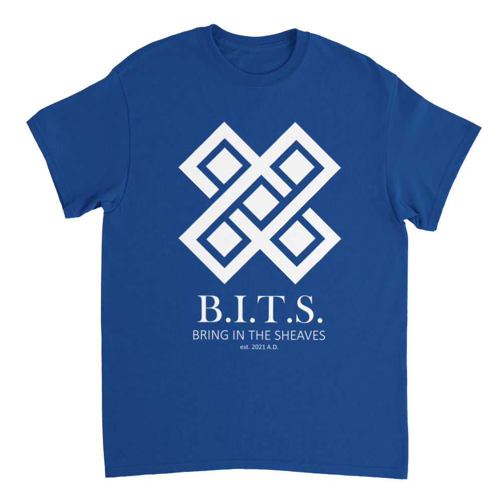 B.I.T.S. Logo, Heavyweight Unisex Crewneck T-shirt