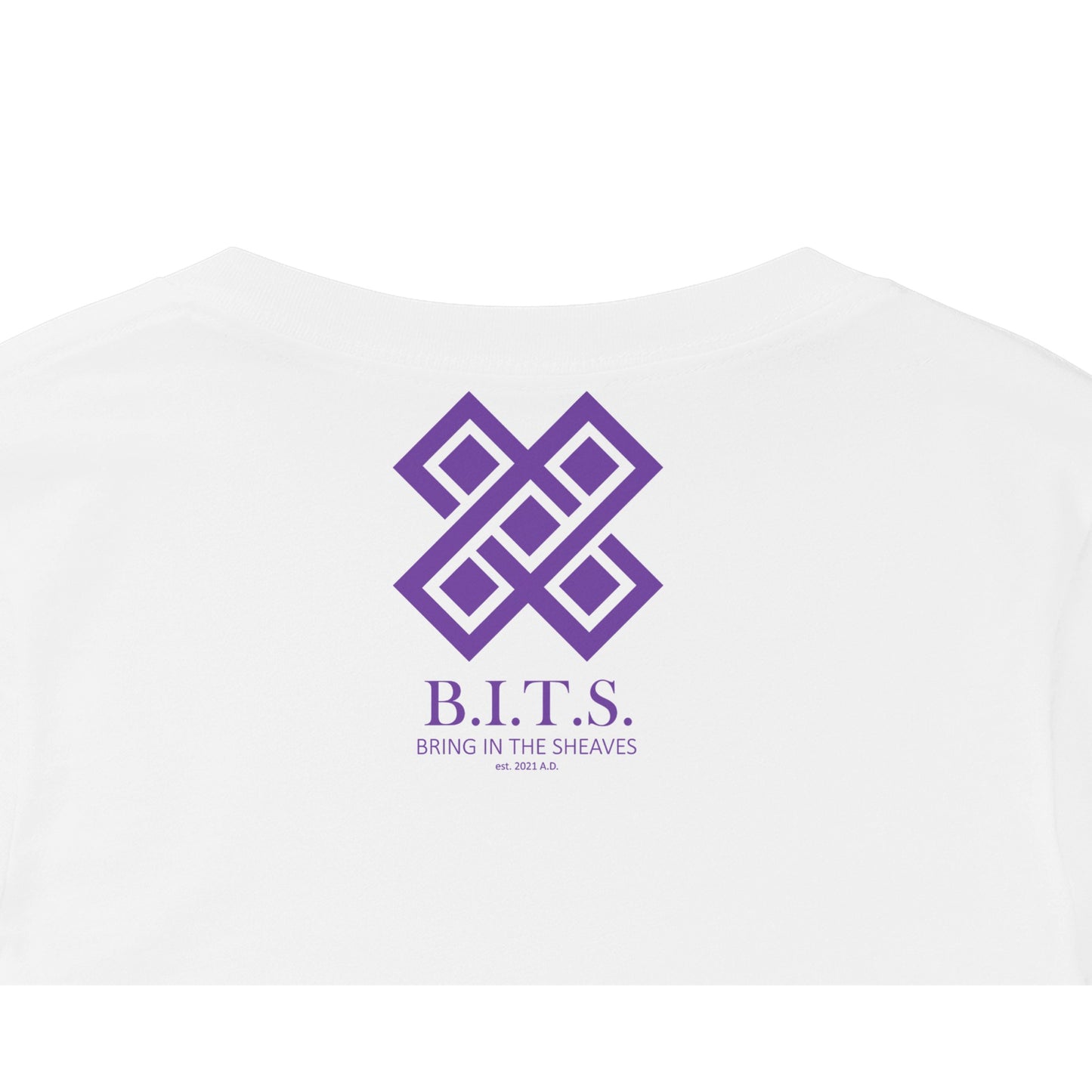 HE IS Risen, Premium Womens V-Neck T-shirt