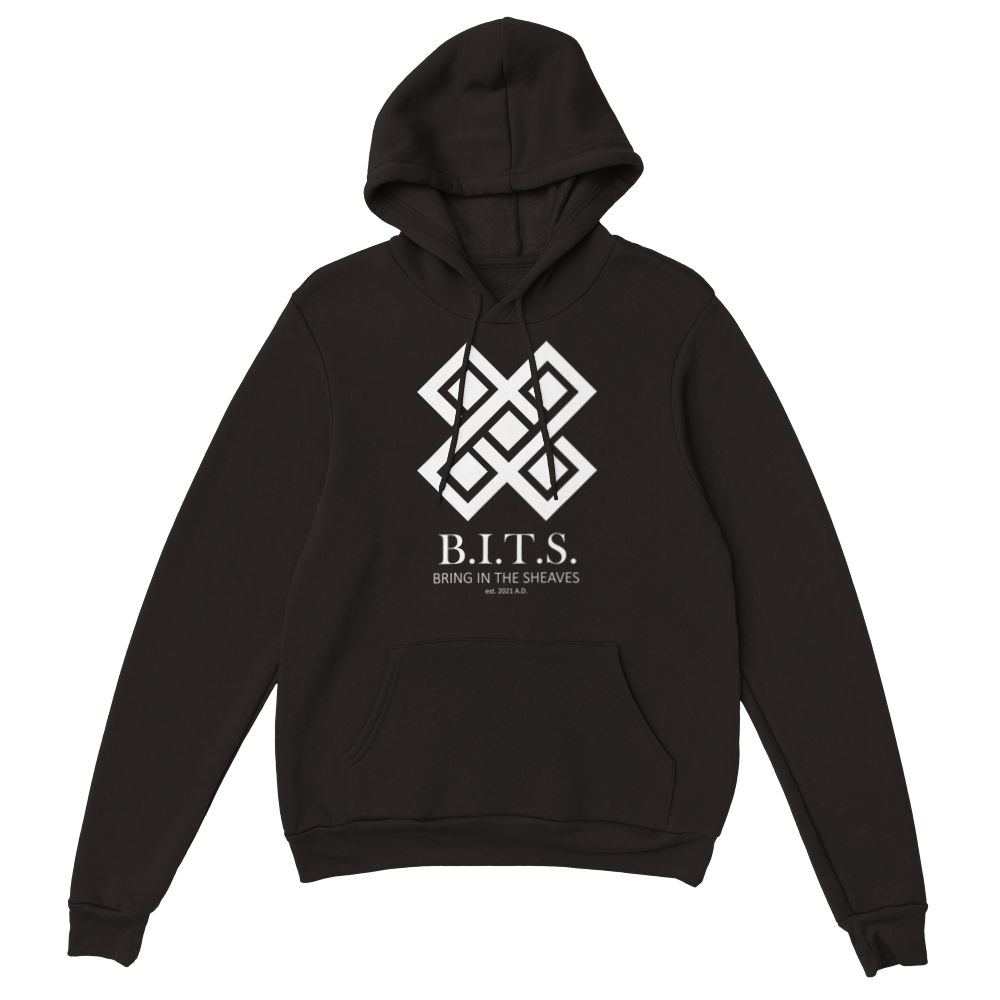 B.I.T.S. Logo, Classic Unisex Pullover Hoodie