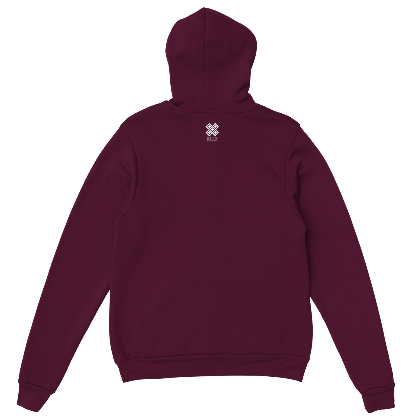 Jesus Died for Our Sins, Classic Unisex Pullover Hoodie