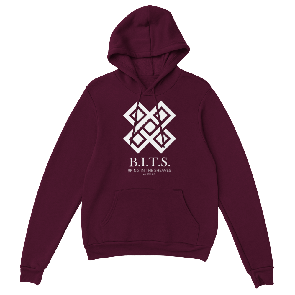 B.I.T.S. Logo, Classic Unisex Pullover Hoodie