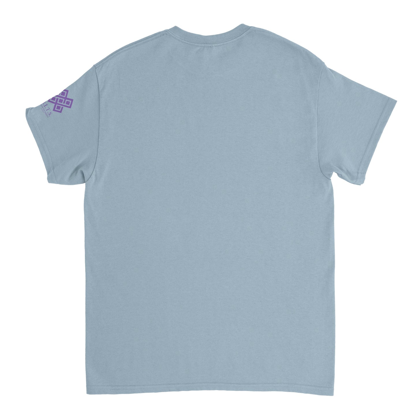 NCC 2023 Women's Conference Hair, Heavyweight Unisex Crewneck T-shirt