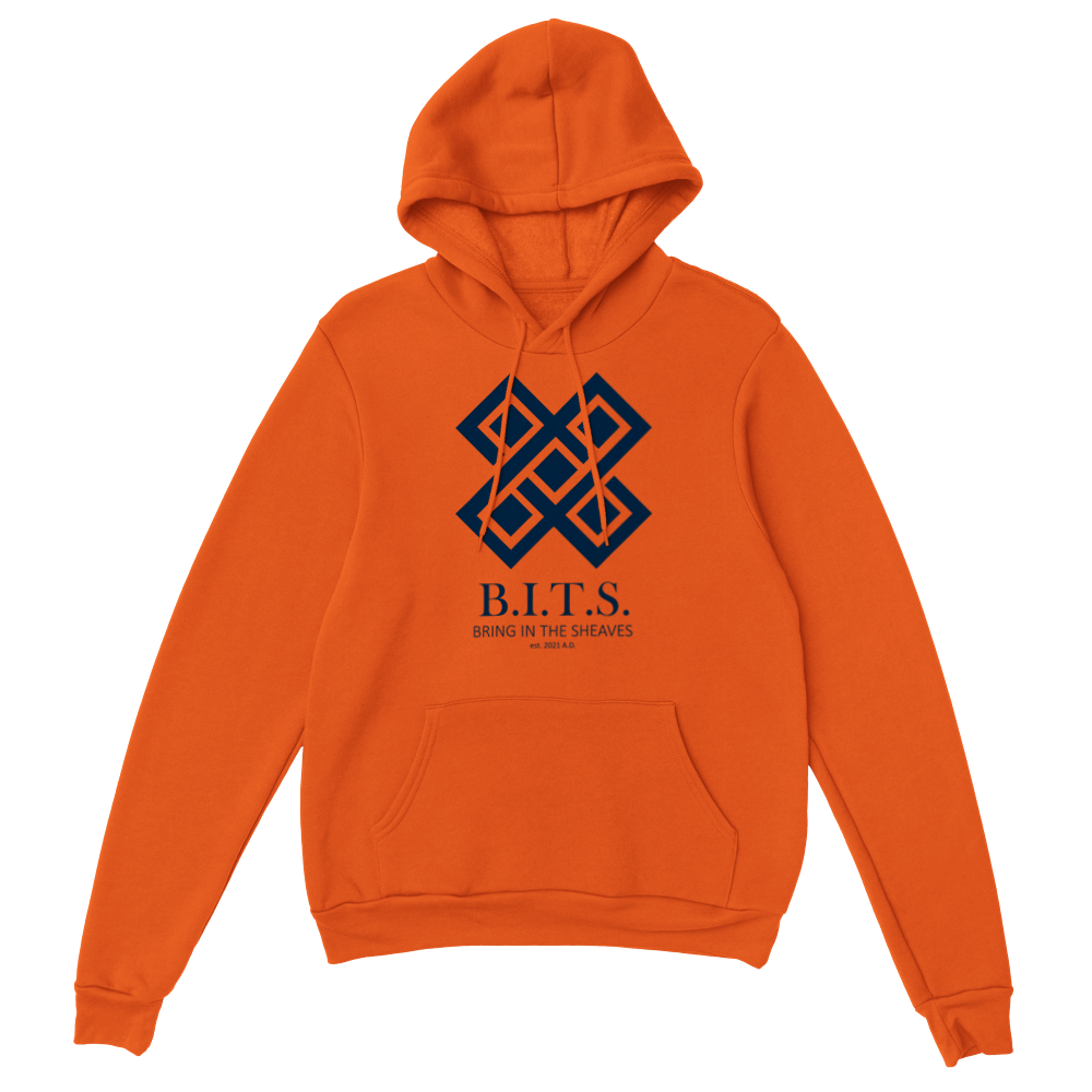 B.I.T.S. Logo, Classic Unisex Pullover Hoodie