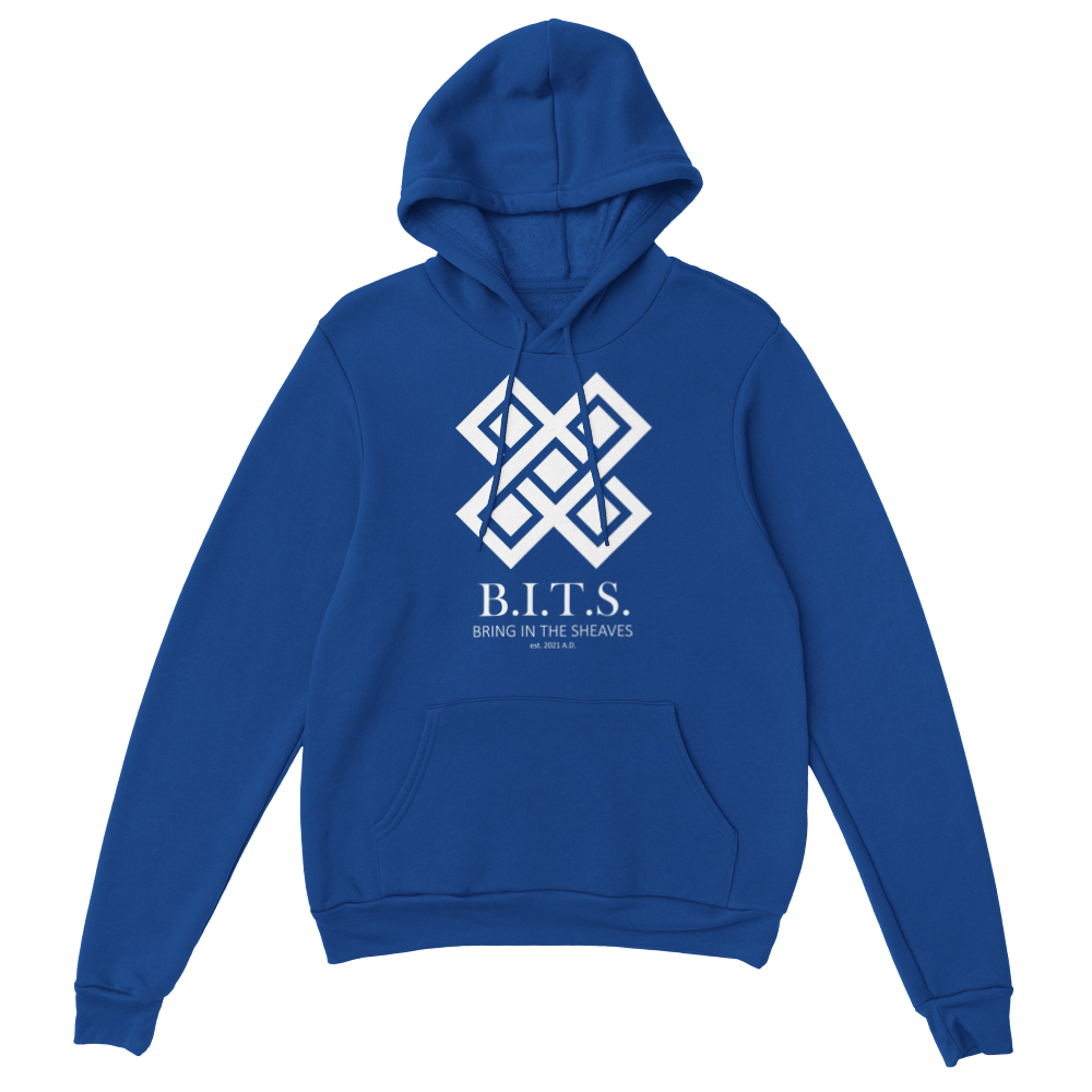 B.I.T.S. Logo, Classic Unisex Pullover Hoodie