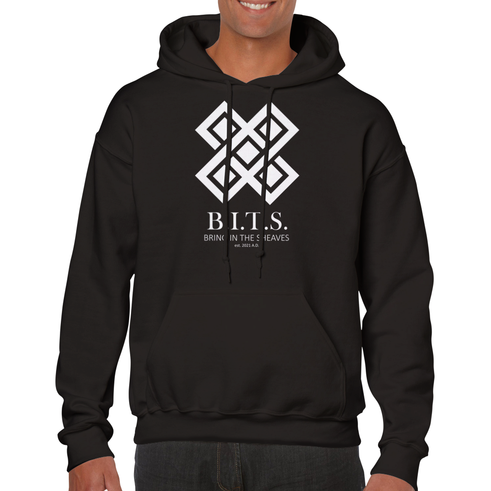 B.I.T.S. Logo, Classic Unisex Pullover Hoodie