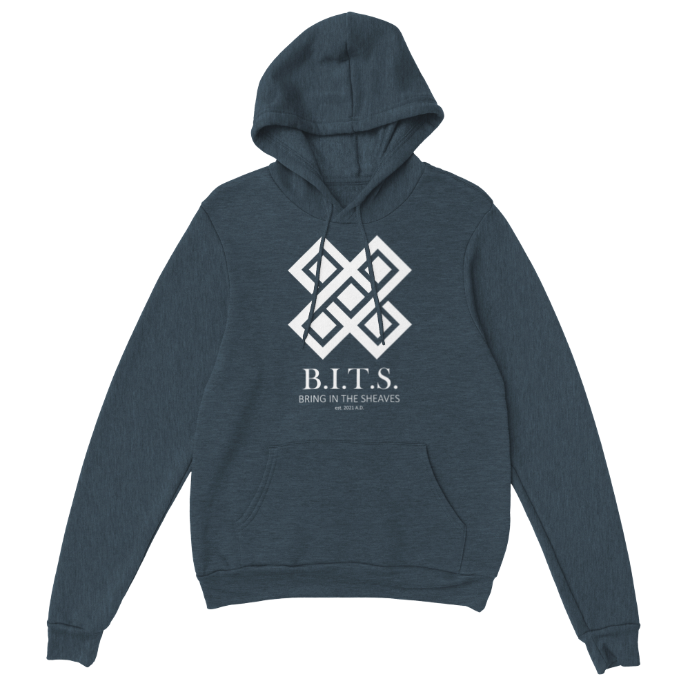 B.I.T.S. Logo, Classic Unisex Pullover Hoodie