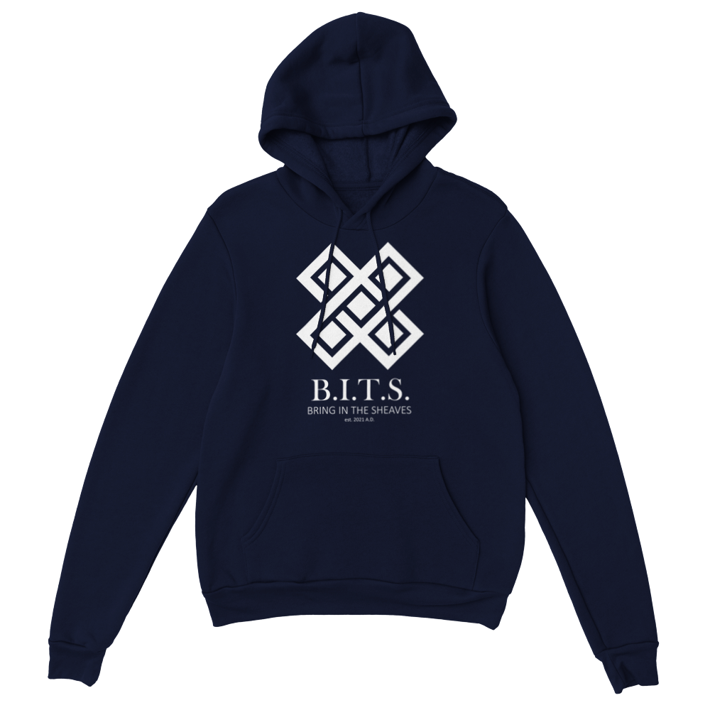 B.I.T.S. Logo, Classic Unisex Pullover Hoodie