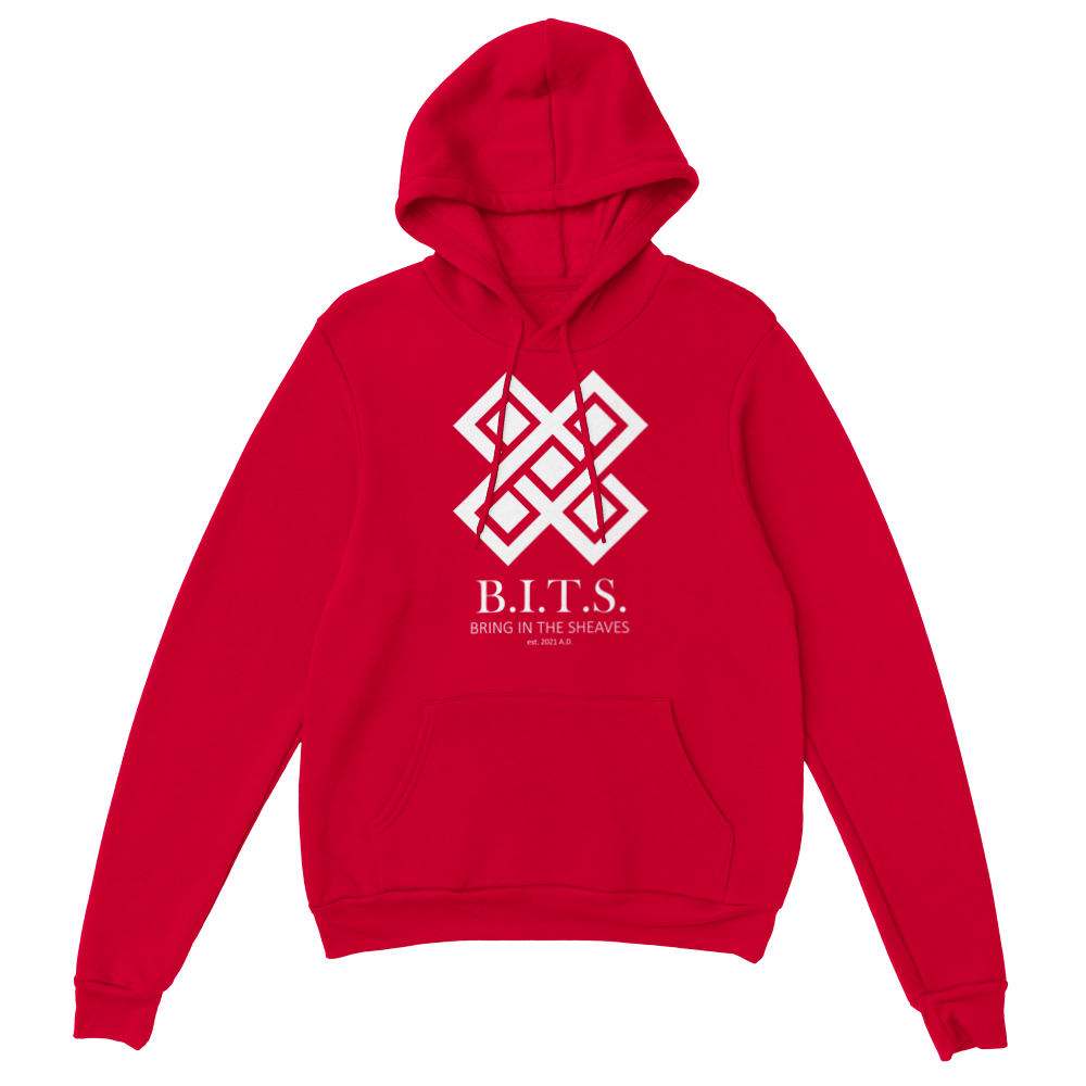 B.I.T.S. Logo, Classic Unisex Pullover Hoodie